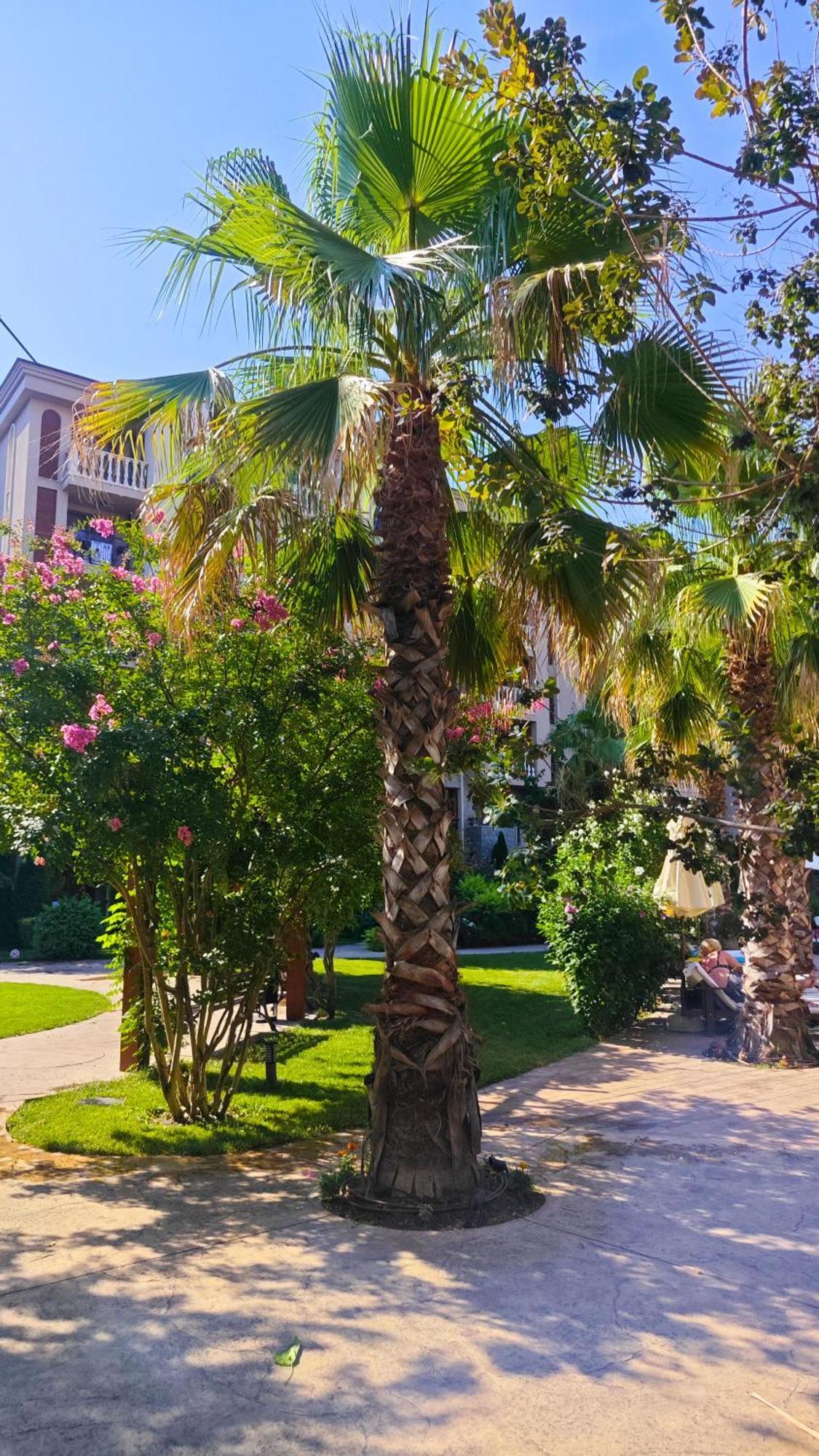 Attractive Family Apartment In Sunny Beach Cascadas Family Resort Exterior photo